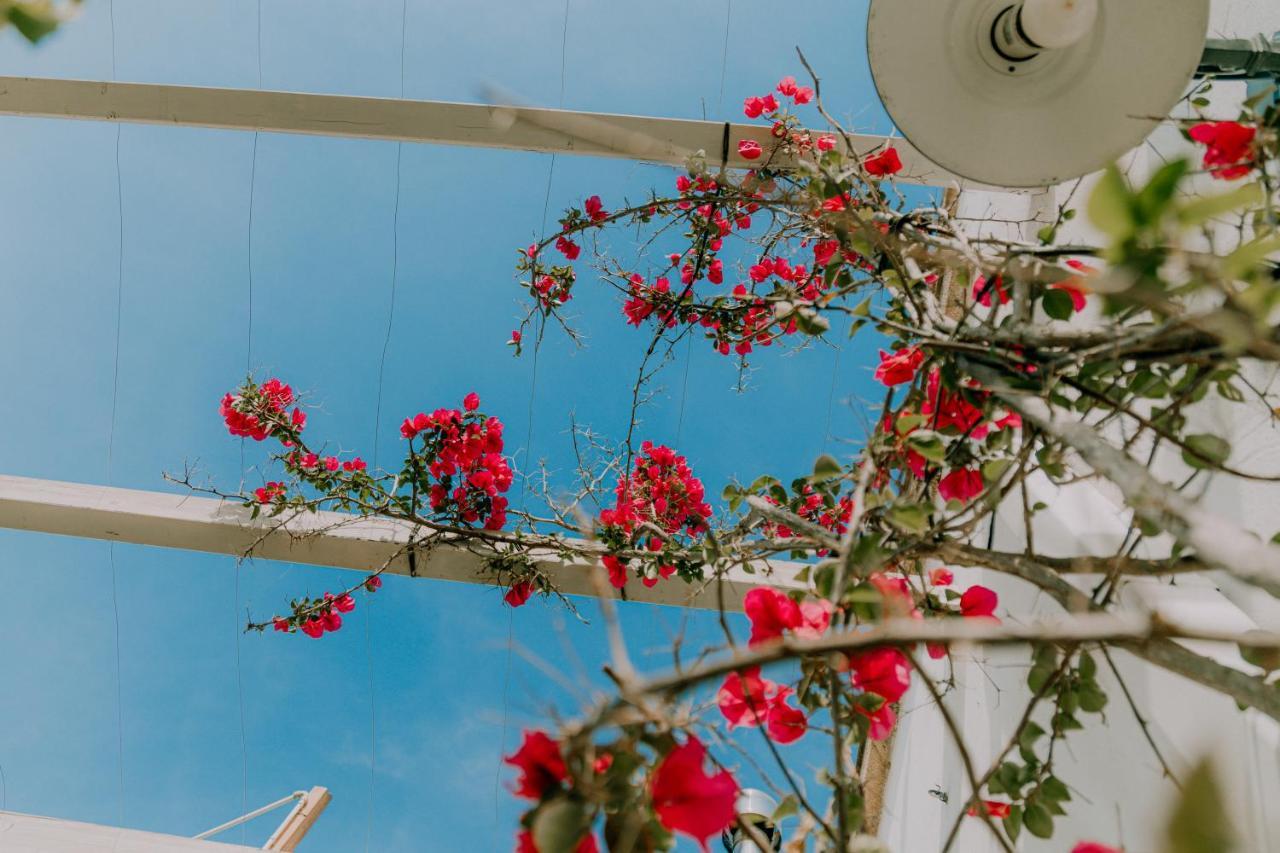 Masseria Agriturismo Il Sorriso Degli Ulivi - Dimora Di Charme Gallipoli Exterior foto